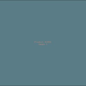 Example Product 2856