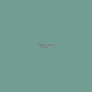 Example Product 2859