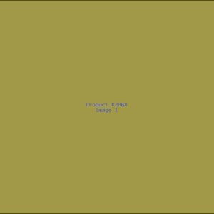 Example Product 2868