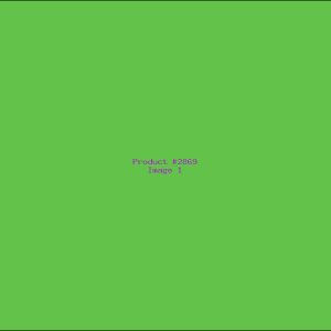 Example Product 2869