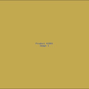 Example Product 2881