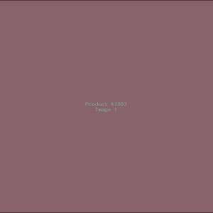 Example Product 2883