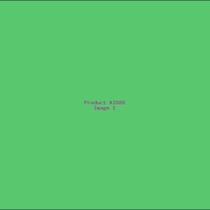 Example Product 2888