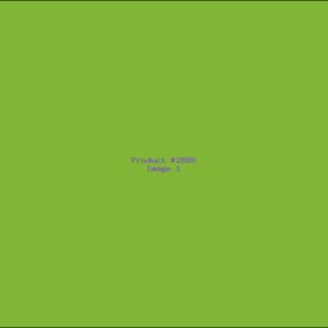 Example Product 2889