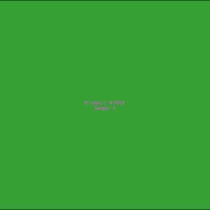 Example Product 2891