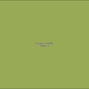 Example Product 2895