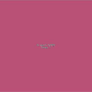 Example Product 2905