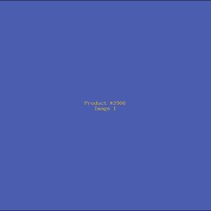 Example Product 2906