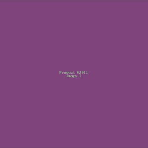 Example Product 2911