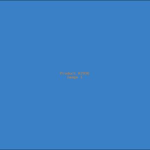 Example Product 2936