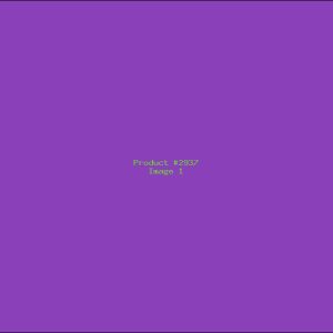 Example Product 2937