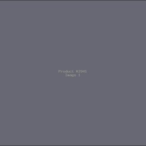 Example Product 2941