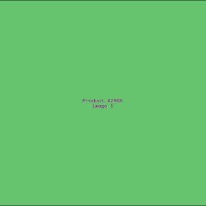 Example Product 2965