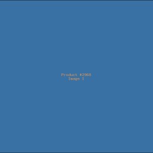 Example Product 2968