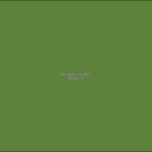 Example Product 2969