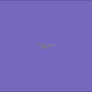 Example Product 2973