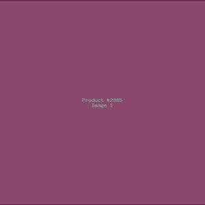 Example Product 2985