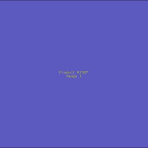 Example Product 2987