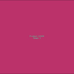 Example Product 3008