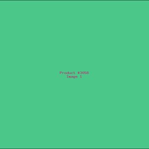 Example Product 3058