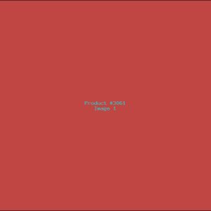 Example Product 3061