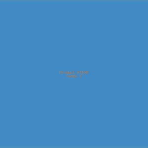 Example Product 3106