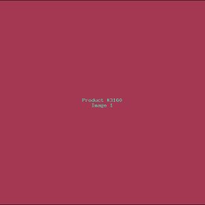 Example Product 3160