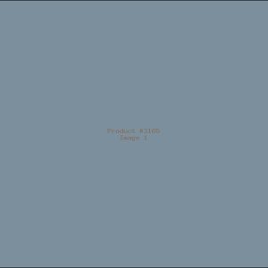 Example Product 3165