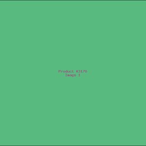 Example Product 3170