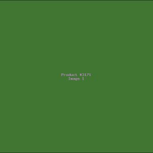 Example Product 3171