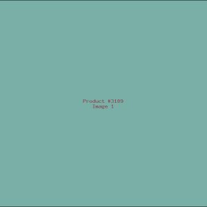 Example Product 3189