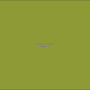 Example Product 3193