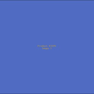 Example Product 3205