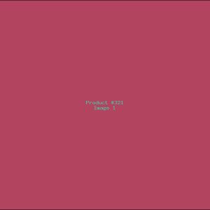Example Product 321