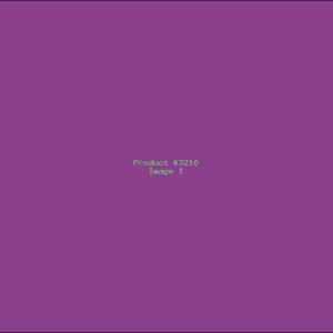 Example Product 3210