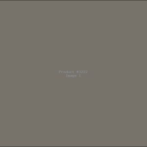 Example Product 3222