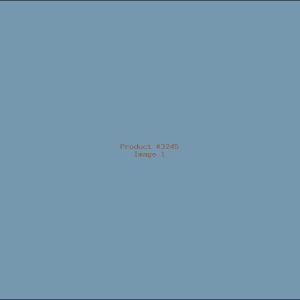 Example Product 3245