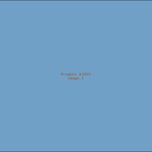 Example Product 3253