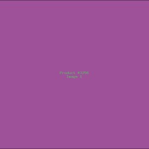 Example Product 3256