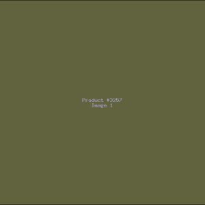 Example Product 3257