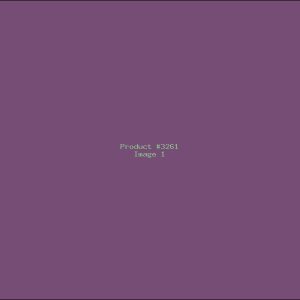 Example Product 3261