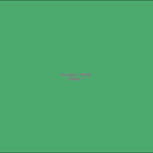 Example Product 3296