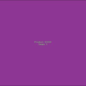 Example Product 3319