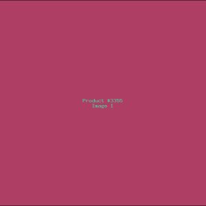 Example Product 3355