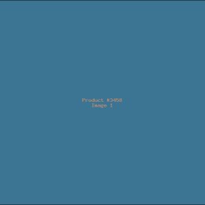 Example Product 3458