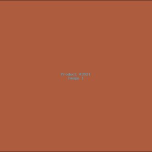 Example Product 3521