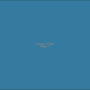 Example Product 3563