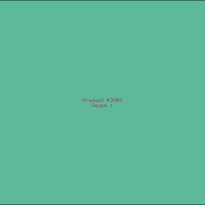 Example Product 3569