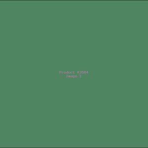 Example Product 3584