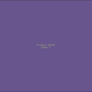 Example Product 3600